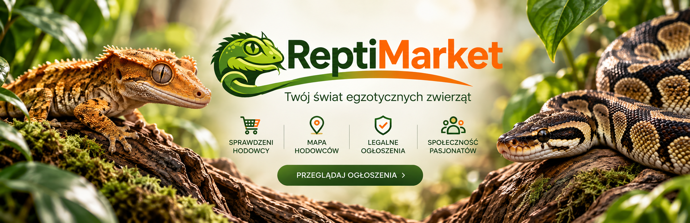 reptimarket